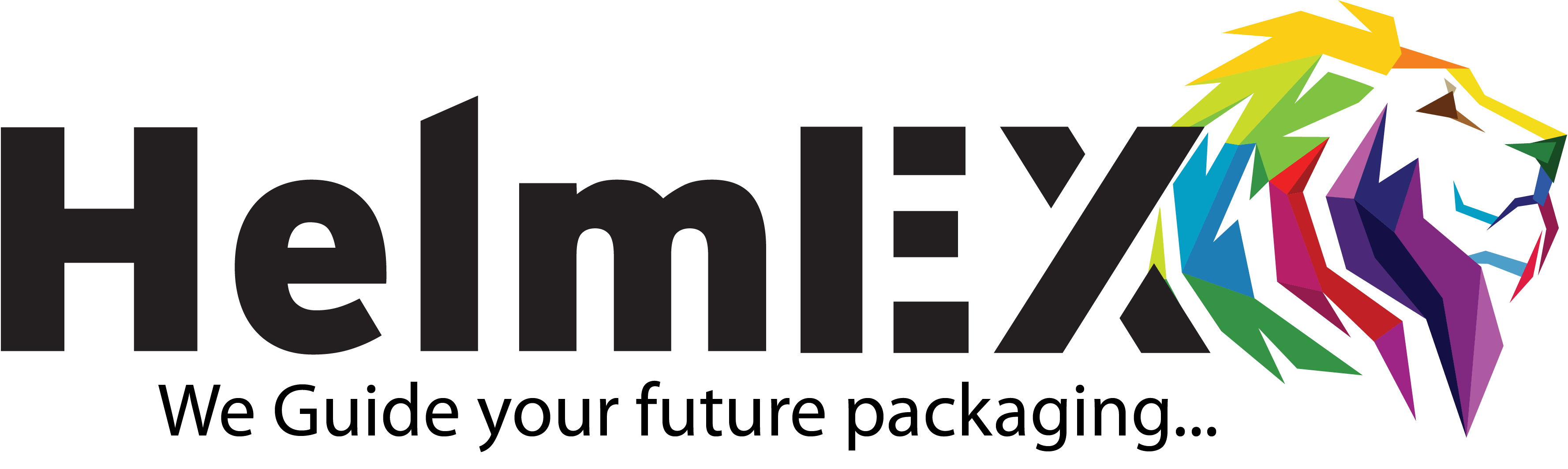 helmex-logo-slogan